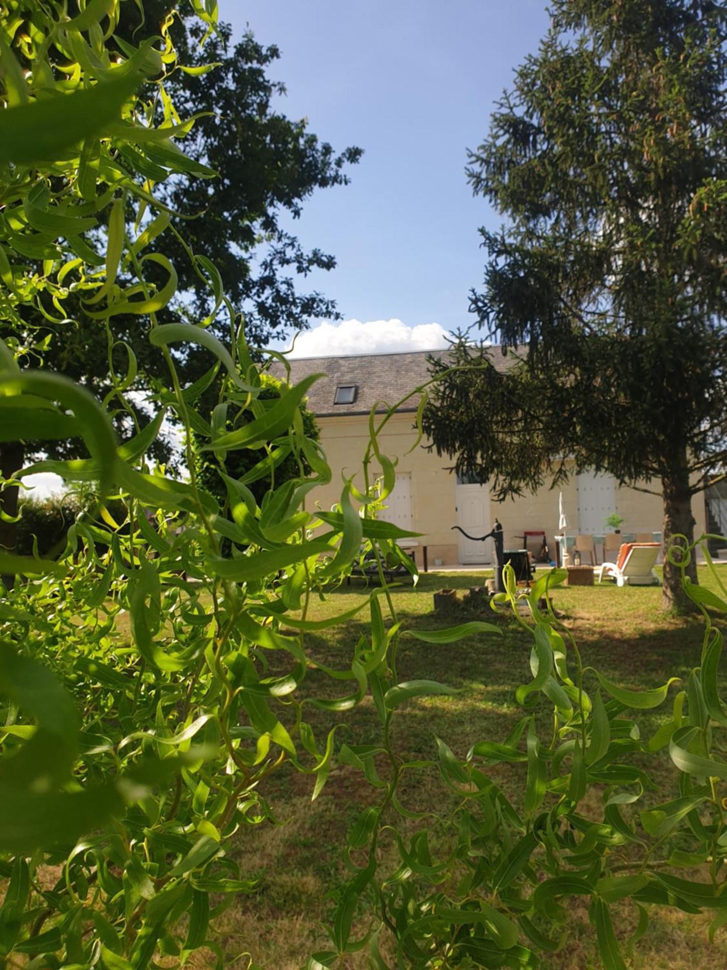 Gite Au Coeur De La Touraine La Chapelle-sur-Loire Exterior photo